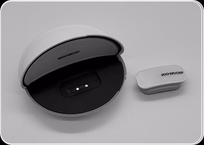 Charging dock with collar module