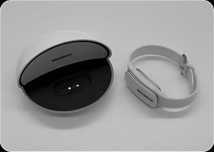 Dock beside the collar band
