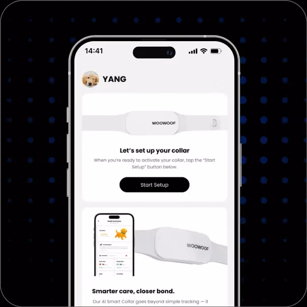 Design outcome phone
