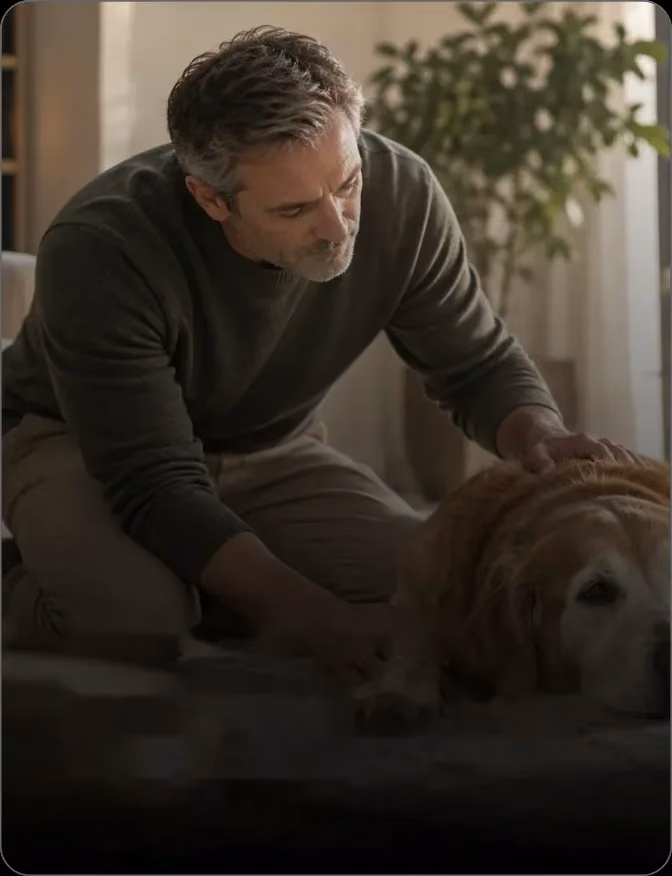 Owner checking on an older dog