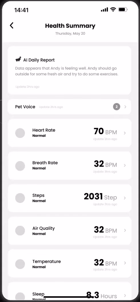 Wireframe: health summary