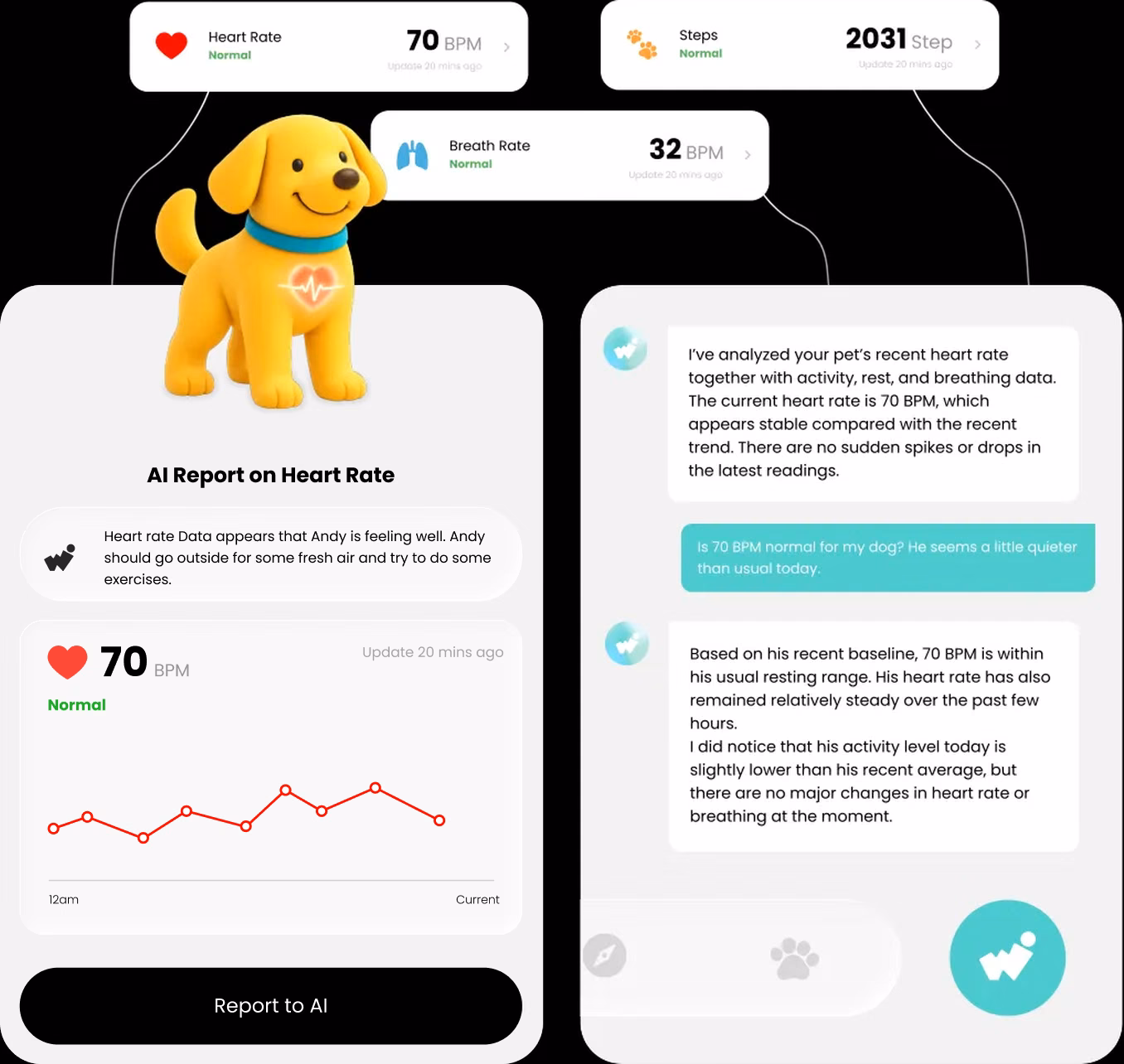 AI heart-rate report and chat